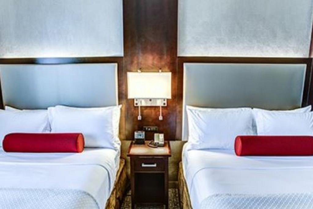 Cambria Hotel White Plains - Downtown Extérieur photo